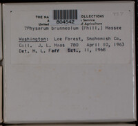Image Associated With the Occurence